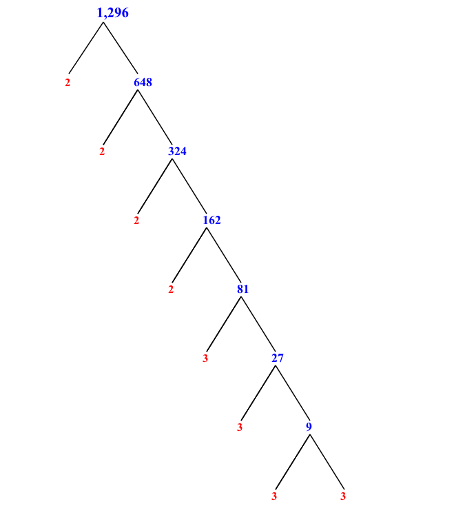 factorization of x power 4 1296